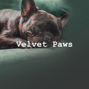 Velvet Paws - Dog’s Music
