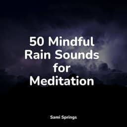 50 Mindful Rain Sounds for Meditation - Tailormade Ocean Waves