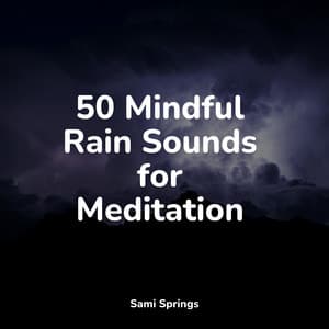 50 Mindful Rain Sounds for Meditation - Tailormade Ocean Waves
