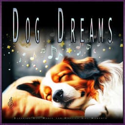 Dog Dreams: Sleeping Dog Music for Happier Dog Moments - Calming Music for Dogs