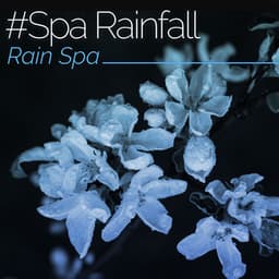 #Spa Rainfall - Rain Spa