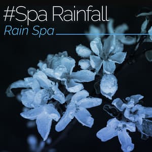 #Spa Rainfall - Rain Spa
