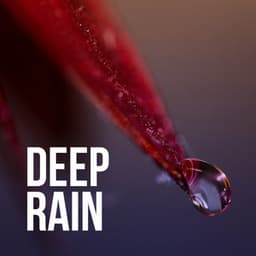 Deep Rain - Rain Recordings