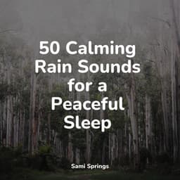50 Calming Rain Sounds for a Peaceful Sleep - Academia de Meditação Buddha