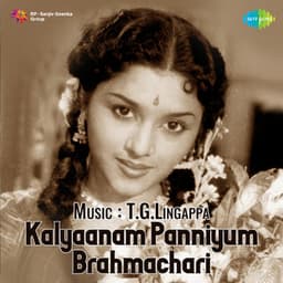 Kalyaanam Panniyum Brahmachari - T.G. Lingappa