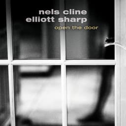 Open the Door - Nels Cline