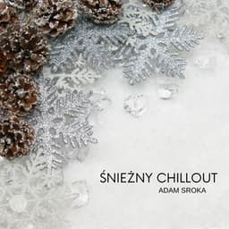 Śnieżny Chillout: Jazz na Mroźne Dni i Chwile Relaksu - Adam Sroka