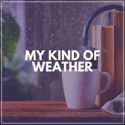 My Kind of Weather - Natsound