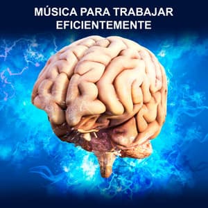 Música Para Trabajar Eficientemente - Concentracíon