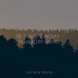 50 Simply Complete Relaxation Sounds - Best Relaxing SPA Music