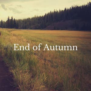 End of Autumn - Serenity of Sound