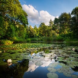 Lofi Escape: A Journey Of Sound And Peace - Relaxation Serenity Ensemble