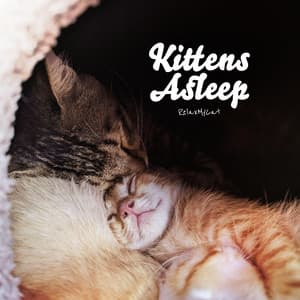 Kittens Asleep - RelaxMyCat