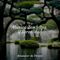Música Zen | Spa Y Serenidad - Musica Relajante