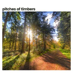 Pitches of the Timbers - Nature Calm