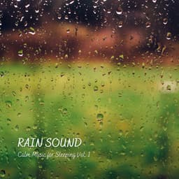 RAIN Sound: Calm Music for Sleeping Vol. 1 - Lightning Thunder and Rain Storm