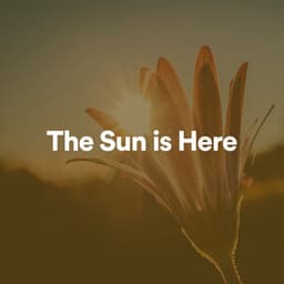 The Sun Is Here - Instrumental Sleeping Music