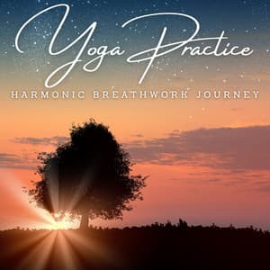ZenFlow: Meditative Harmonies for Yoga Practice - Zen Hanami