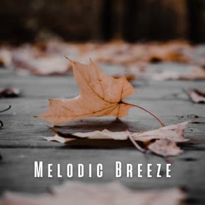 Melodic Breeze: Leaves Rustling in the Wind - Soothing Air