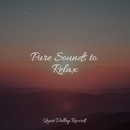 Pure Sounds to Relax - Relajación
