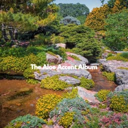 The Aloe Accent Album - Light Dinner MusicLight Dinner Music