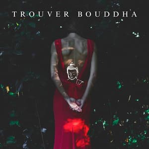 Trouver Bouddha: La méditation du lotus rouge - Buddhist méditation académie