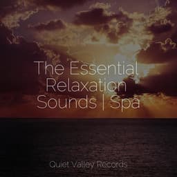 The Essential Relaxation Sounds | Spa - Nature Sounds XLE Library