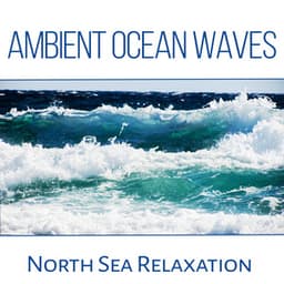 Ambient Ocean Waves: North Sea Relaxation, Yoga Music & Meditation, Crushing Waves, Seagulls, Nature & Liquid Sounds to Calm Down - Calm Sea Ambient
