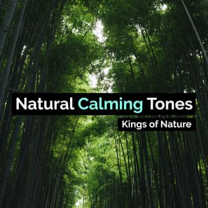 Natural Calming Tones - Kings of Nature
