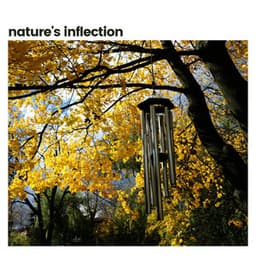 Nature's Inflection - Nature Soundscapes