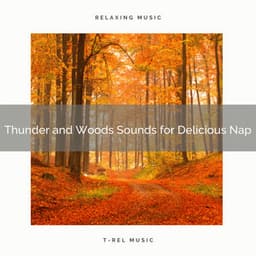 Thunder and Woods Sounds for Delicious Nap - Rain Spa