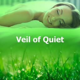 Veil of Quiet - Healing Sounds for Deep Sleep and Relaxation
