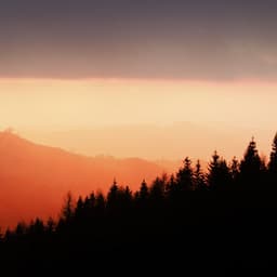 #50 50 Calming Songs for Calming Meditation - Loopable Sounds for Babies