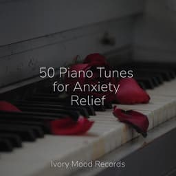 50 Piano Tunes for Anxiety Relief - Calm Music for Studying
