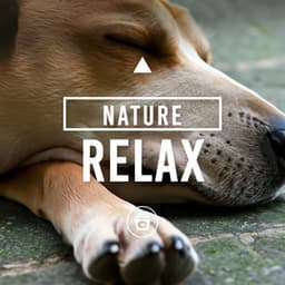 Nature Relax - Dog Music