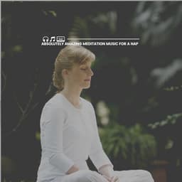 Absolutely Amazing Meditation Music for a Nap - Zarobi