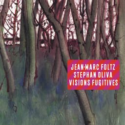 Visions fugitives - Jean-Marc Foltz