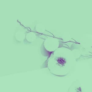 Backdrop for Taking Reality - Sparkling Piano Duo - Relax Chillout Lounge