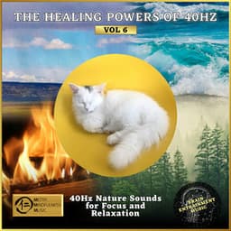 The Healing Powers of 40Hz Vol 6: 40Hz Nature Sounds for Focus and Relaxation - Yuval Ron