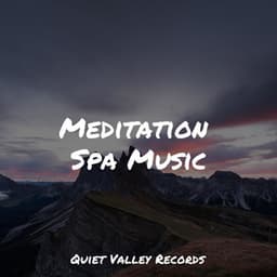 Meditation Spa Music - Nature Sound Collection