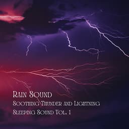 Rain Sound: Soothing Thunder and Lightning Sleeping Sound Vol. 1 - Songs for Dogs to Sleep To