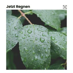 Jetzt Regnen - Regengeräusche