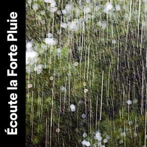 Écoute La Forte Pluie - Orage HD