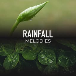 Rainfall Melodies - Calming Sounds