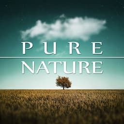Pure Nature – Natural Harmony, Waves, Calm Music for Yoga, Massage Sounds, Spa Therapy, Nature Sounds, New Age - Awesome Nature Sounds Ensemble