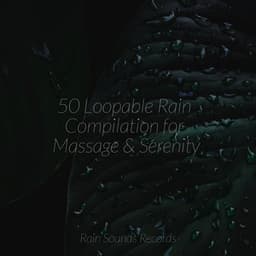 50 Loopable Rain Compilation for Massage & Serenity - Sonidos De Lluvia y Tormentas