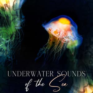 Underwater Sounds of the Sea - Norian Guldmaen