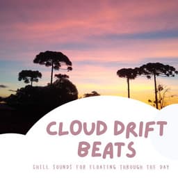 Cloud Drift Beats: Chill Sounds for Floating Through the Day - Laid Back Academy