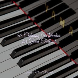 50 Calming Melodies for Good Chillout - Ivory Mood