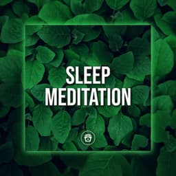 Sleep Meditation - Jungle Sounds